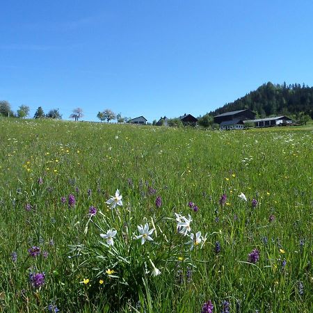 Bauernhof Ablass Göstling an der Ybbs Exteriör bild