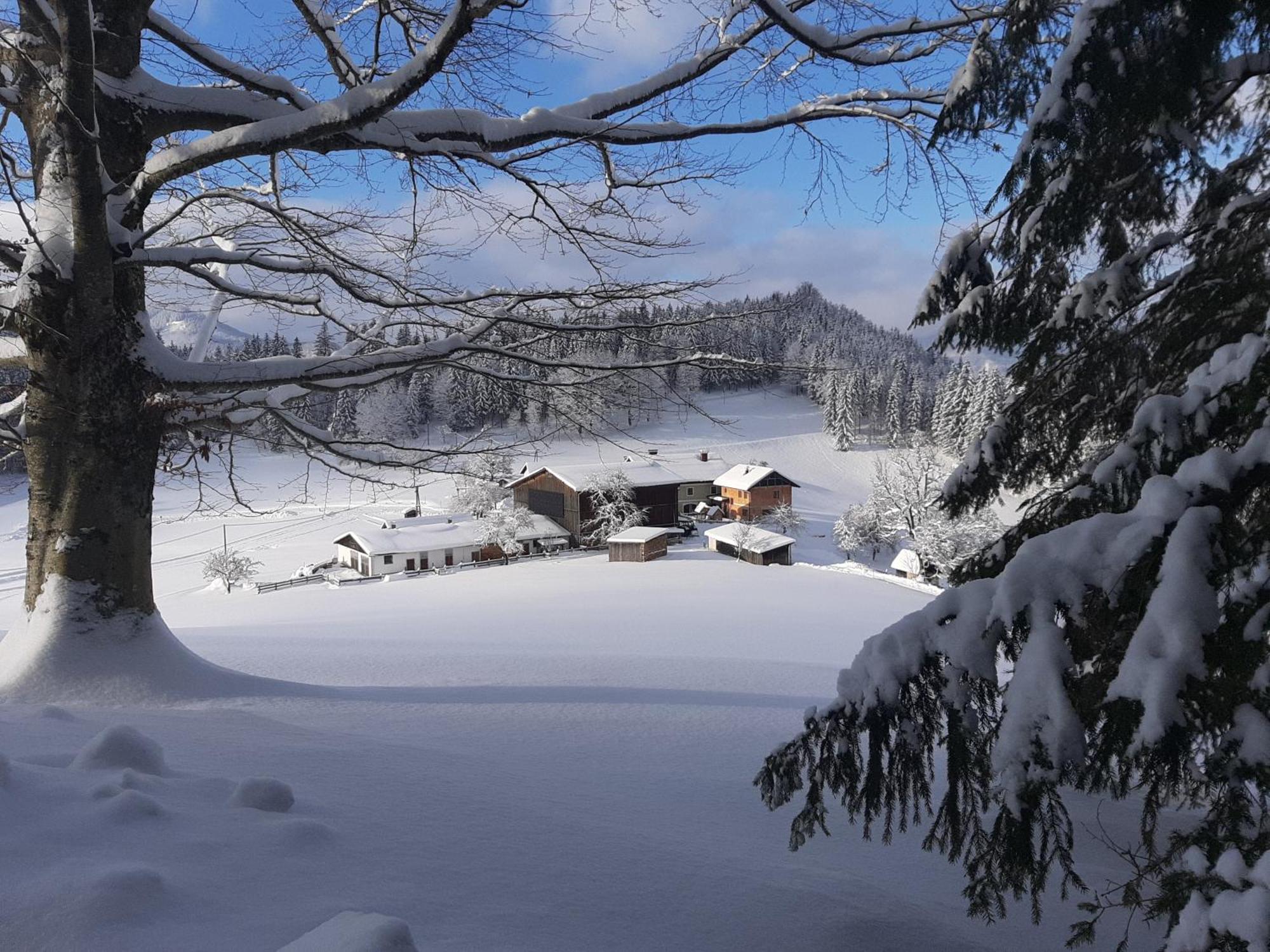 Bauernhof Ablass Göstling an der Ybbs Exteriör bild