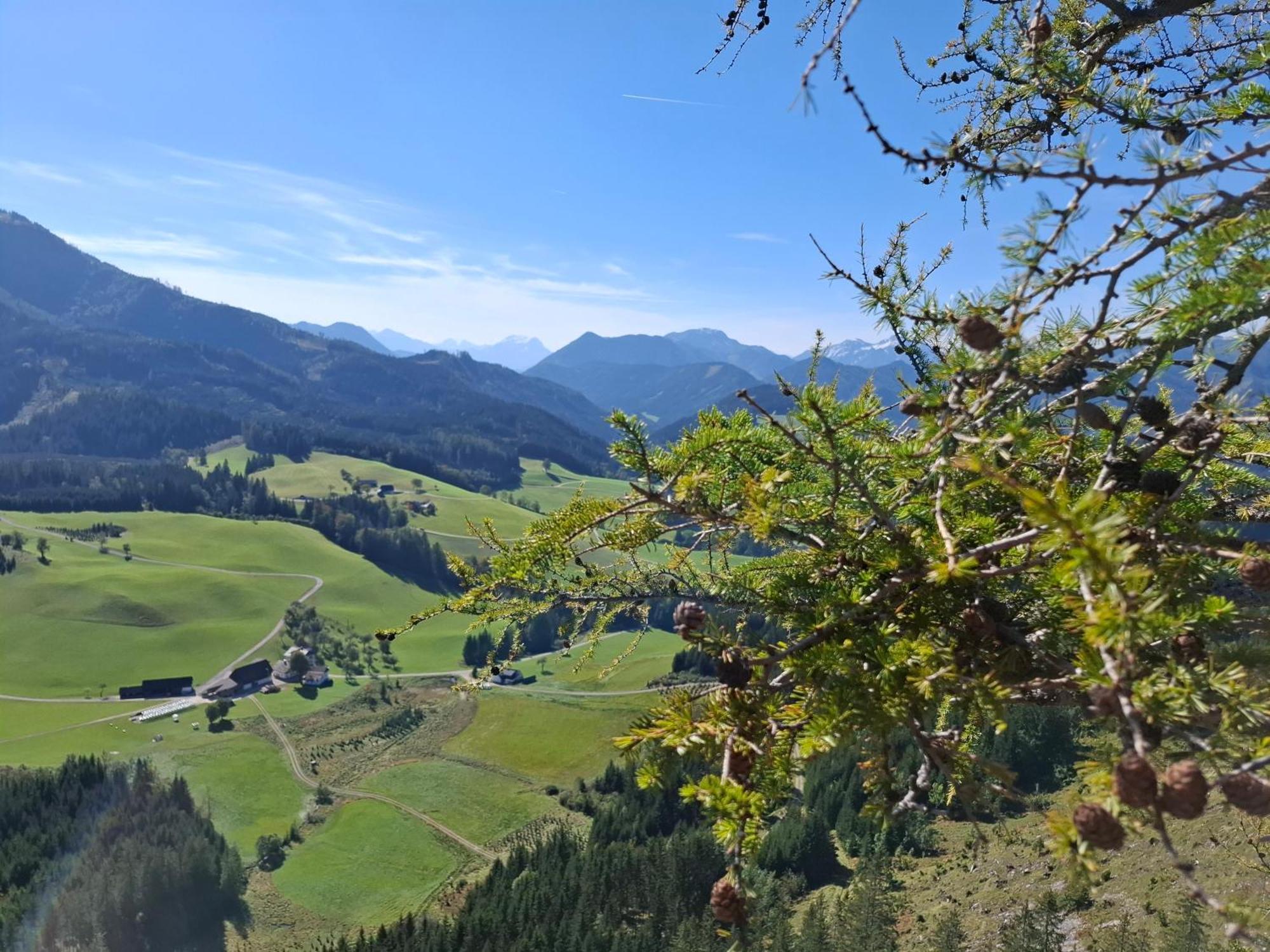 Bauernhof Ablass Göstling an der Ybbs Exteriör bild