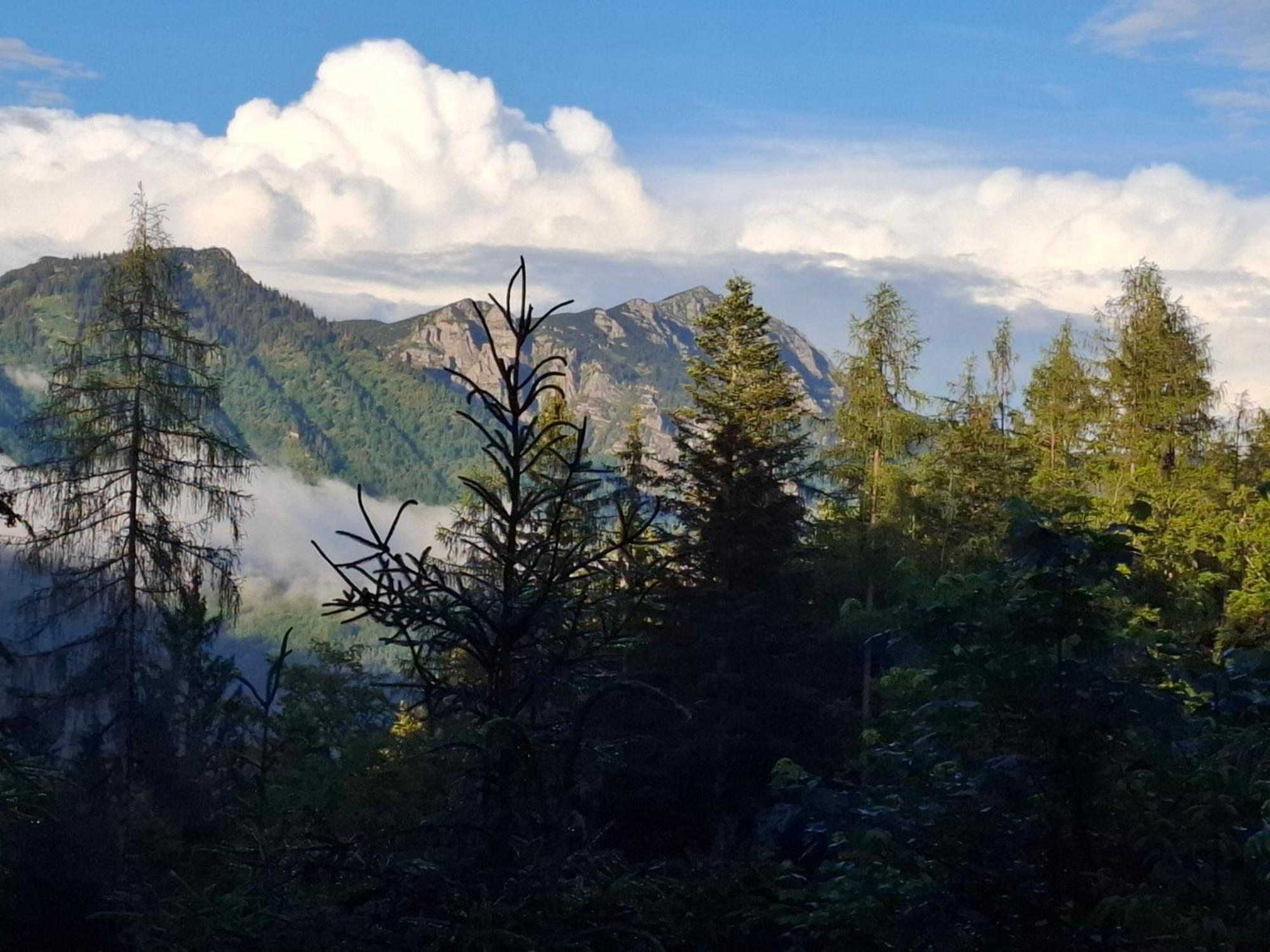 Bauernhof Ablass Göstling an der Ybbs Exteriör bild