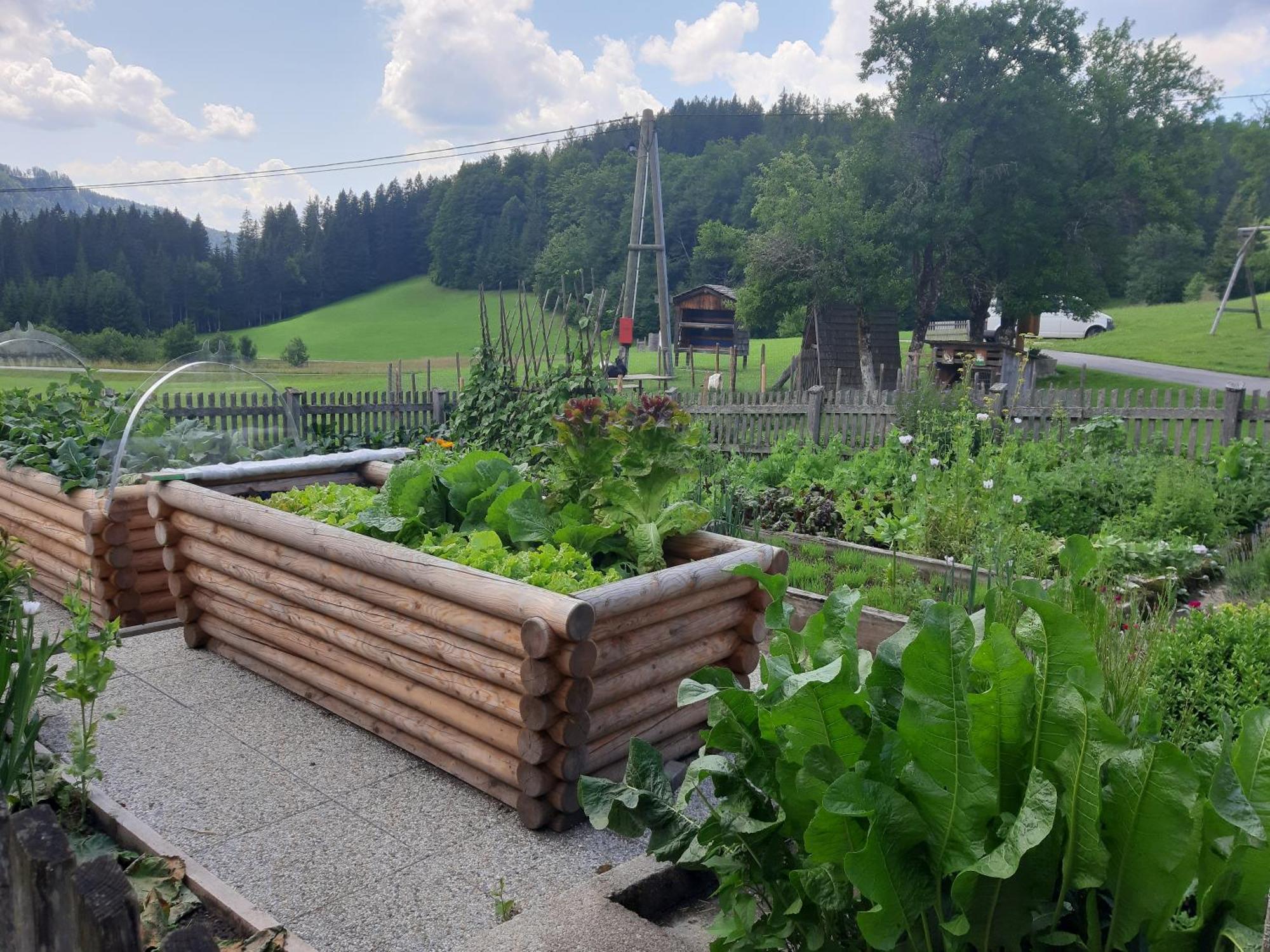 Bauernhof Ablass Göstling an der Ybbs Exteriör bild