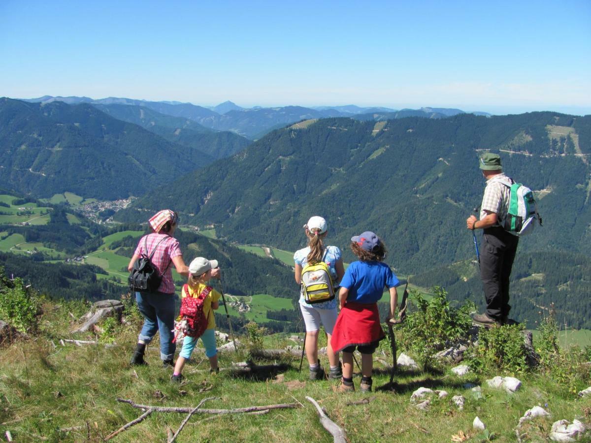 Bauernhof Ablass Göstling an der Ybbs Exteriör bild